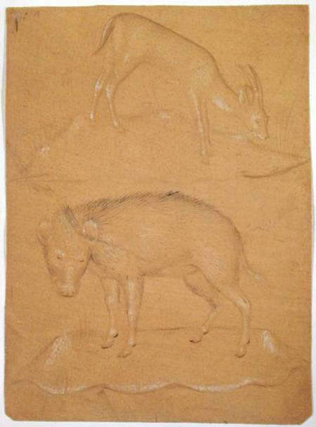 Study of a goat and a boar od Scuola pittorica italiana