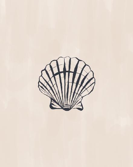 Seashell