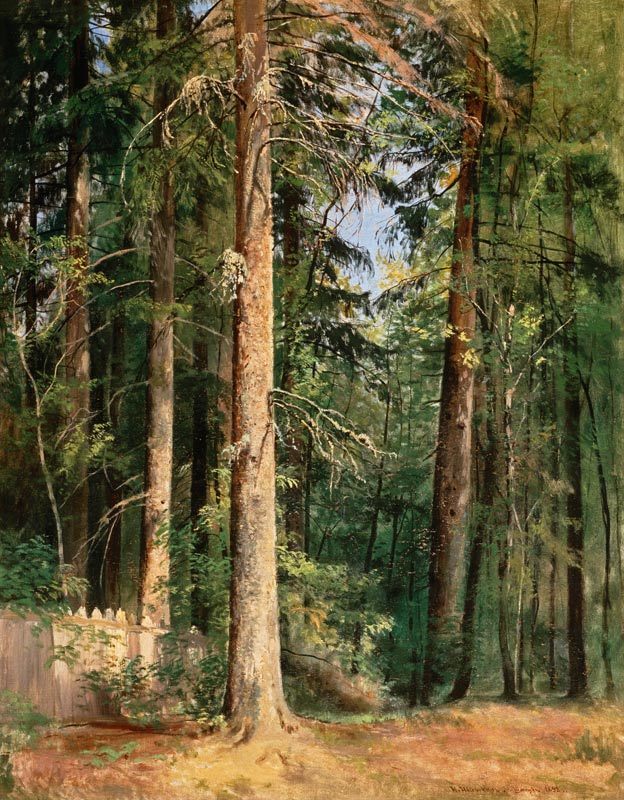 I.I.Shishkin, Forest, 1892 od Iwan Iwanowitsch Schischkin