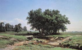 Shishkin / Oaks in Dubki