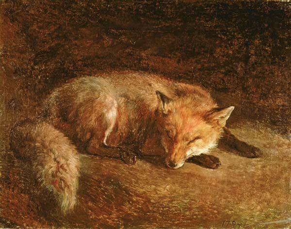 Sleeping Fox