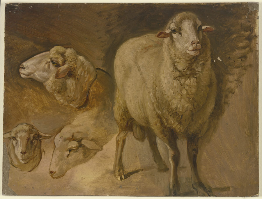 Sheep od Jakob Becker