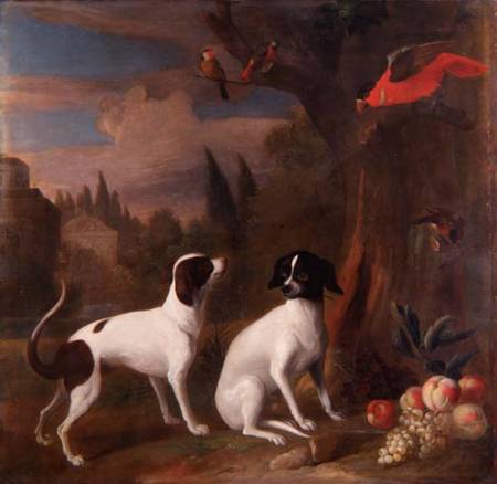 Two Dogs in a Landscape od Jakob Bogdani or Bogdany