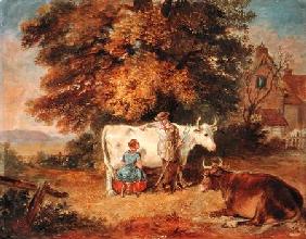 Rural Scene with Cows