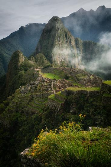 Andean Garden