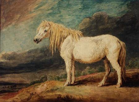 Shetland Pony od James Ward