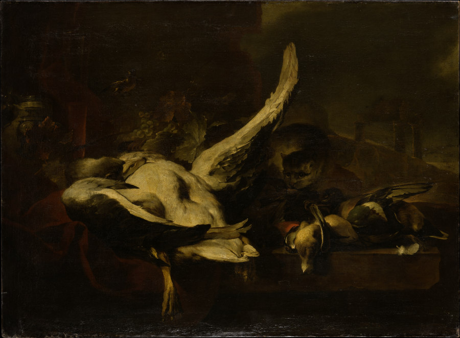 Dead Fowl Being Eaten by a Cat od Jan Baptist Weenix