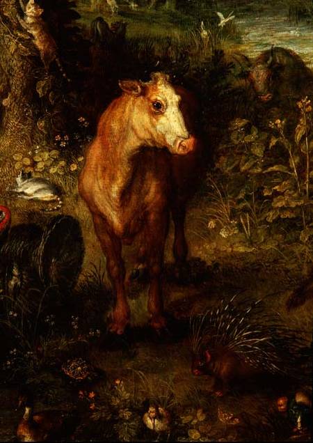 Earth or The Earthly Paradise, detail of a cow, porcupine and other animals od Jan Brueghel d. Ä.