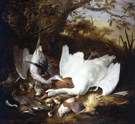 Still Life of Swan and Game in a Landscape od Jan de Wit