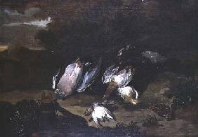 Still life of dead game