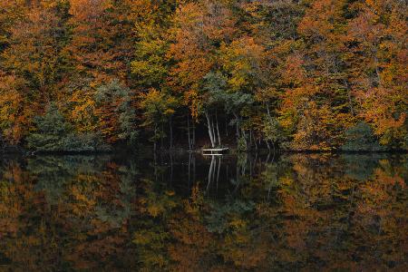 Autumn at the river