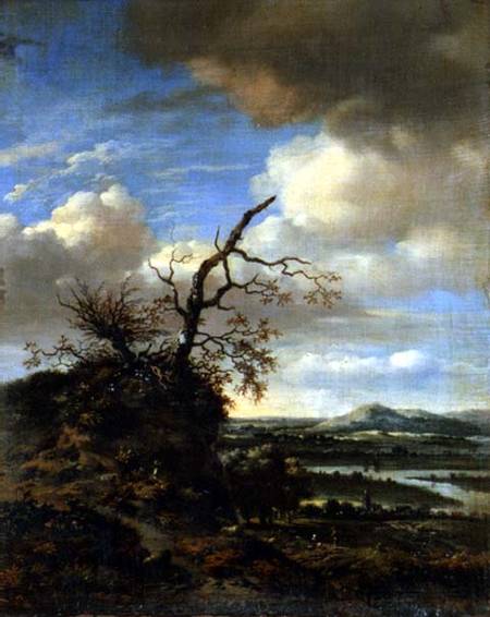 Extensive River Landscape c.1665/1670 od Jan Wynants