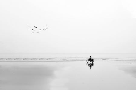 CYCLE AND THE BIRDS