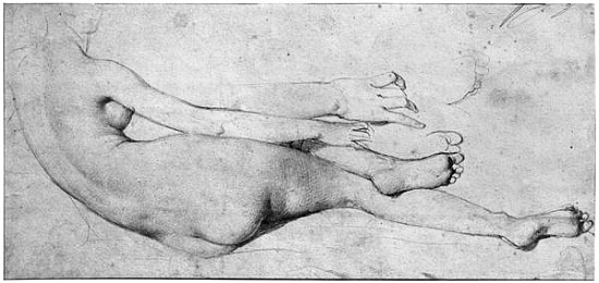 Study for The Grande Odalisque (see also 233244) od Jean Auguste Dominique Ingres