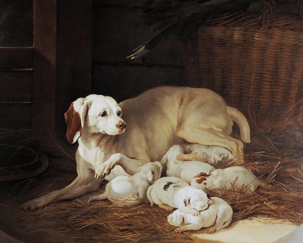 Bitch nursing puppies, detail from Lise et ses petits od Jean Baptiste Oudry