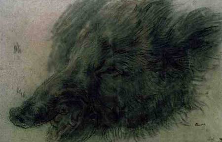 Head of a Wild Boar od Jean-Baptiste Siméon Chardin