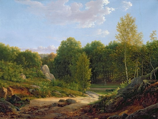 View of Fontainebleau Forest od Jean Bidauld
