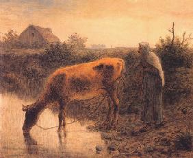 Farmer with a cow