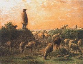 The shepherd