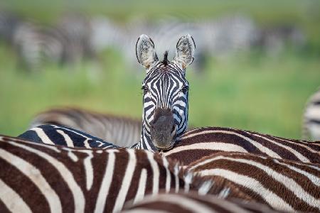 Make a difference....stand out in the crowd