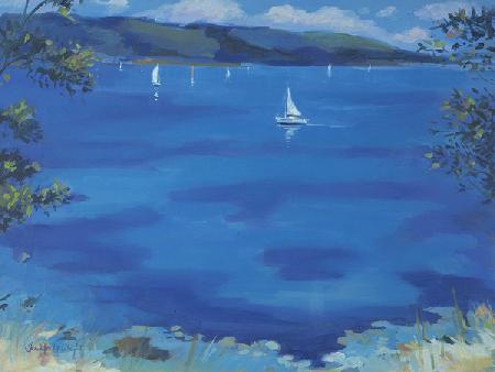 Salcombe - Blue Morning