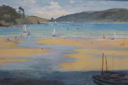 South sands Beach , Salcombe