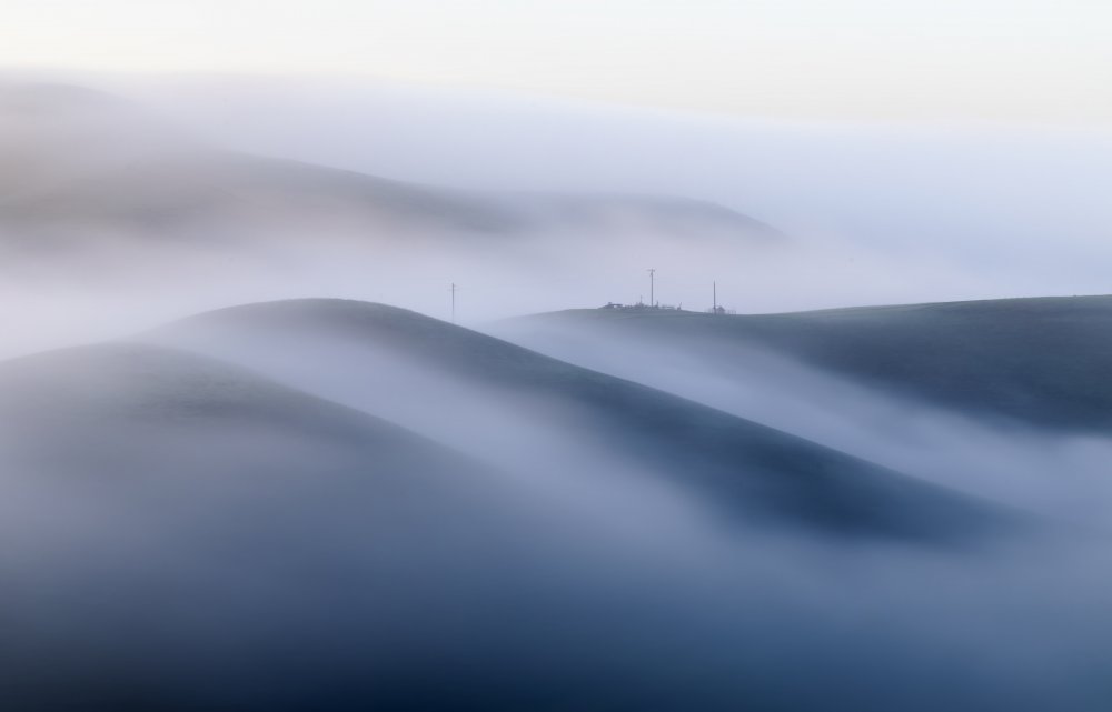 A Foggy Winter Morning od Jenny Qiu