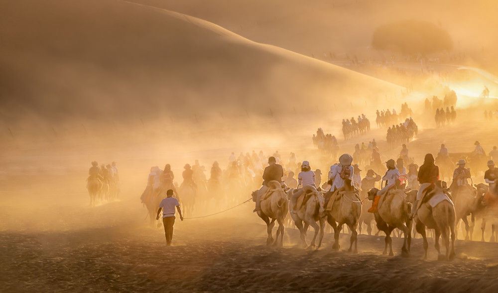 Camel Caravan od Jianping Yang