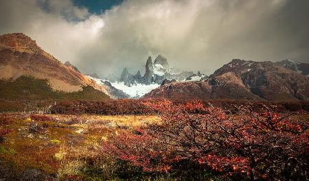 Autumn has arrived