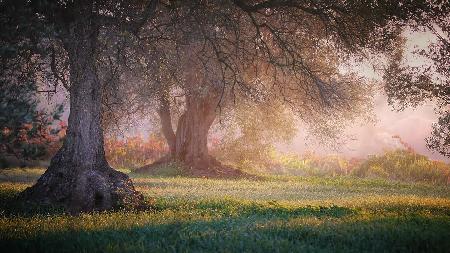 Autumn in Catalonia