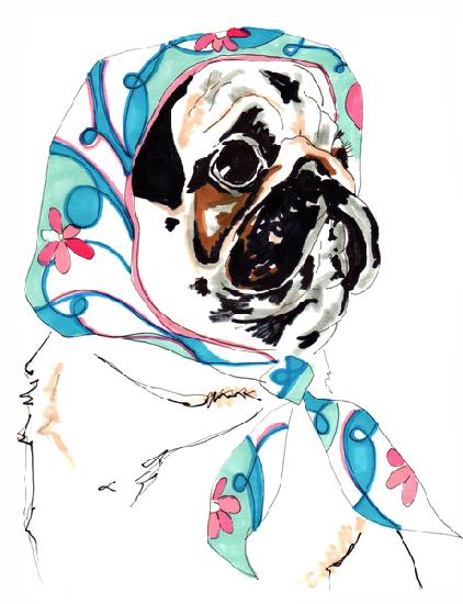 Pug In Pucci