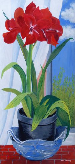 Amaryllis in a Blue Bowl