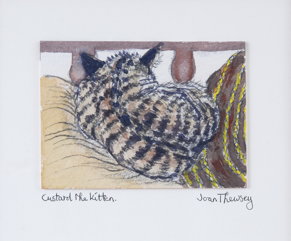 Custard the Kitten od Joan  Thewsey