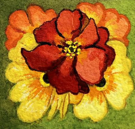 Five Primroses, red, yellow and orange