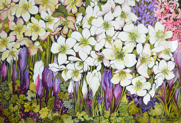 Spring Border: Hellebores, Crocus and Violets od Joan  Thewsey
