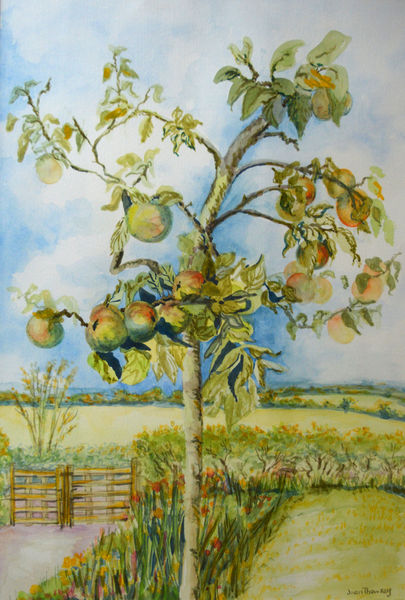 The Apple Tree od Joan  Thewsey