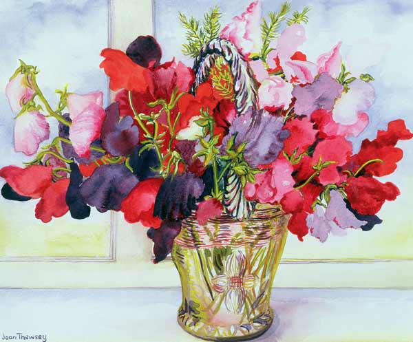 Sweet Peas in a Vase (w/c on paper) 