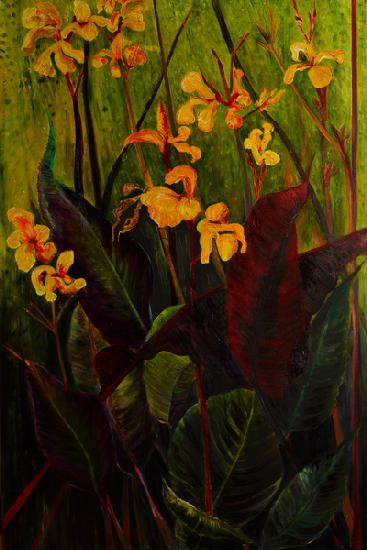 Canna Lily