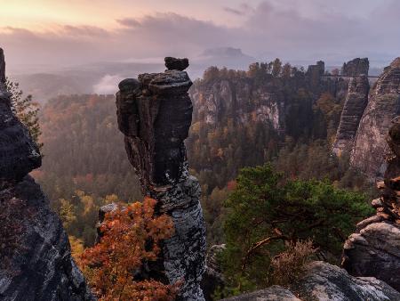 Wehlnadel in Elbe Sandstone Mountains