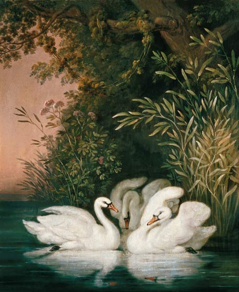 Swans od Joh. Heinrich Wilhelm Tischbein