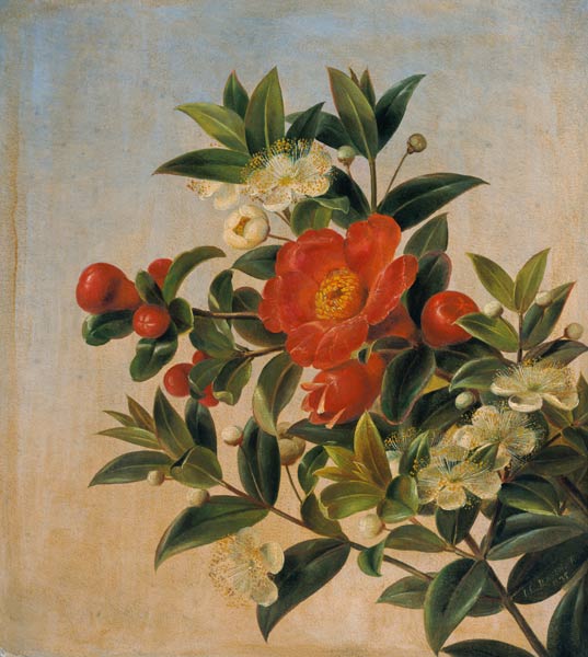Flowers od Johan Laurentz Jensen