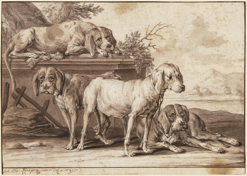 Four hunting dogs od Johann Elias Ridinger