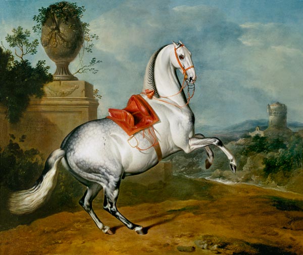 The Dapple Grey Galloping od Johann Georg Hamilton