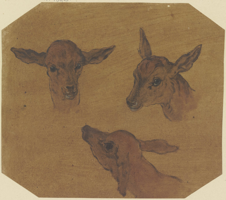 Three doe heads od Johann Melchior Roos