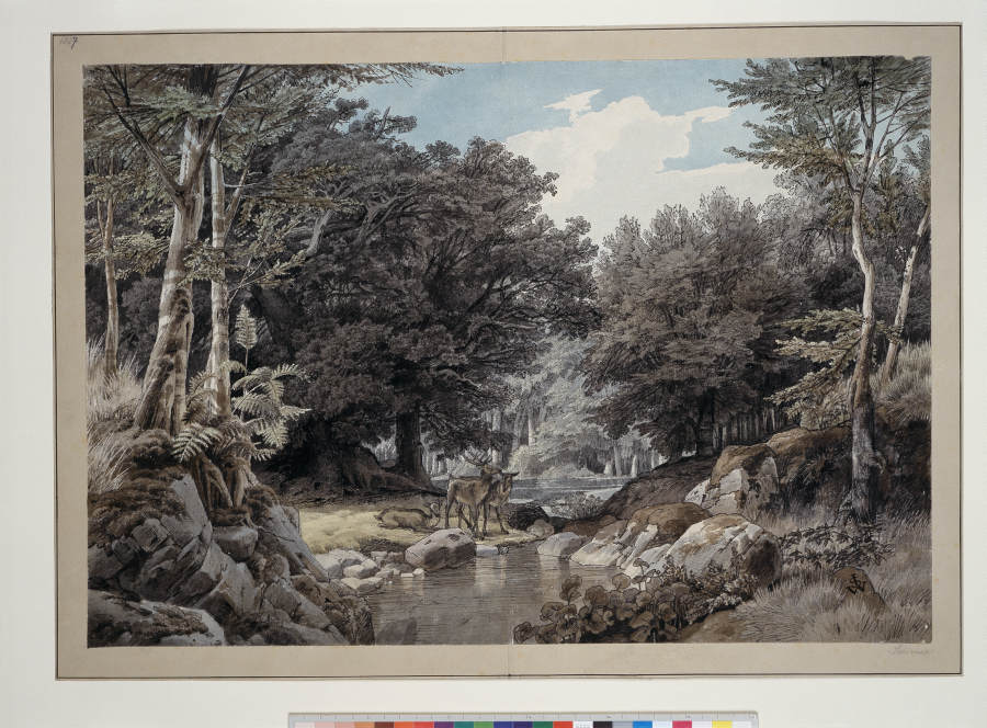 Waldinneres mit Hirschen am Wasser od Johann Wilhelm Schirmer