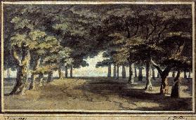 Allee in der Villa Borghese