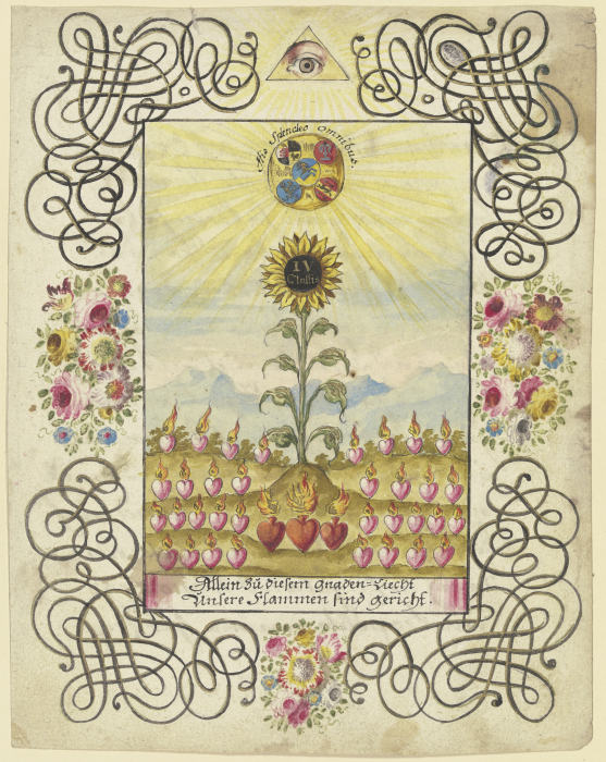 Sonnenblume mit Goldaufschrift od Johannes Esaias Nilson