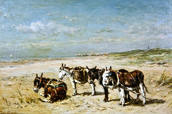 Donkeys on the Beach od Johannes Hubertus Leonardus de Haas