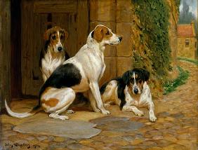 Foxhounds