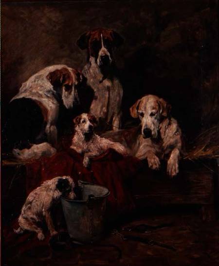 Kennel Companions od John Emms